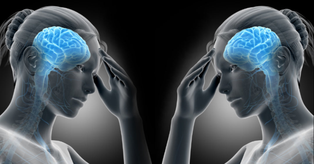 You Can Outperform Your IQ – By Upgrading These Habits