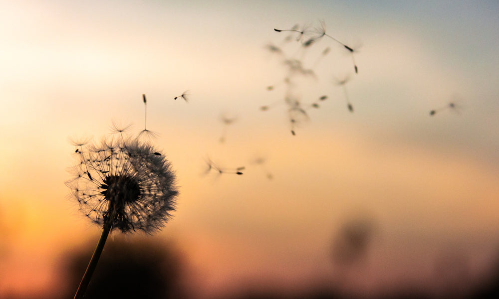 7 Reasons You Should Always Think Positively With Norman Vincent Peale