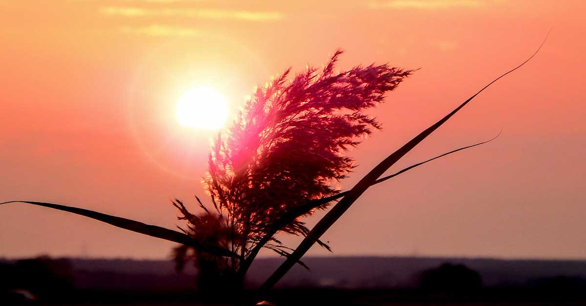 How Living In The Present Moment Can Change Your Life