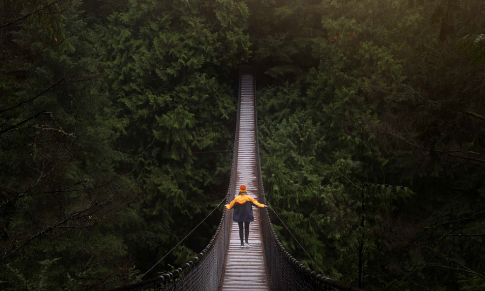5 Simple Steps To Get You Back On Track When You’ve Lost Your Focus