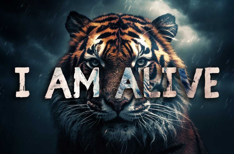 I Am Alive (Lyrics) Fearless Soul Ft. Rachael Schroeder