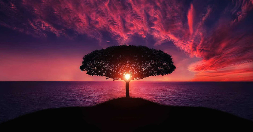 How to Use Tree Symbolism to Inspire and Guide Us in Nurturing Our Spiritual Growth
