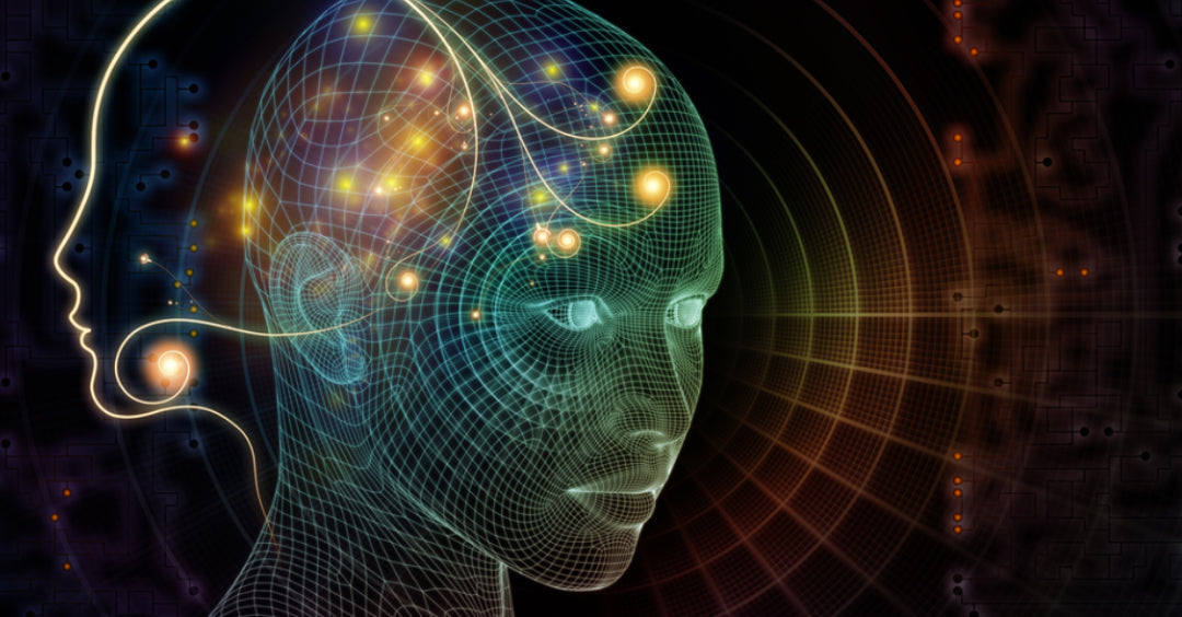 5 Steps To Creating And Maintaining A High Vibrational State Of Being