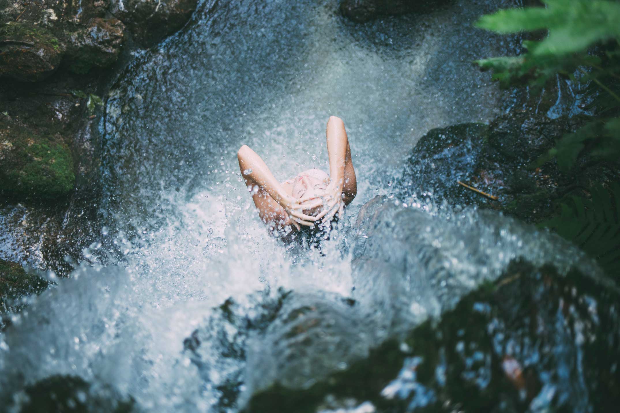The Amazing Benefits of Nature: The Hidden Medicinal Magic in Plants and Trees