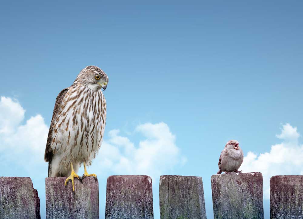 Stop Comparing Yourself To Others – You’ll Never Be Happy