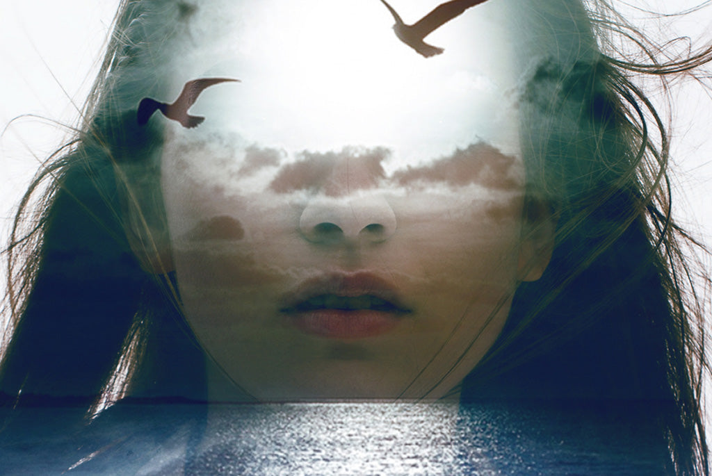 Developing Intuition: The Highest Intelligence Known to Man