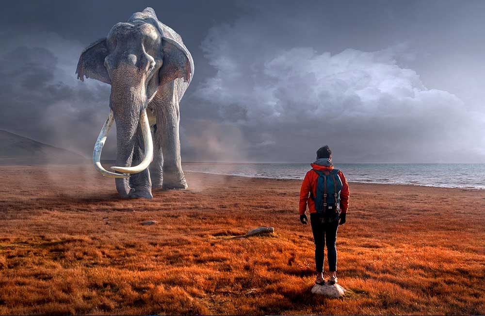 17 Empowering Quotes on Dreams: See It Before You Have It