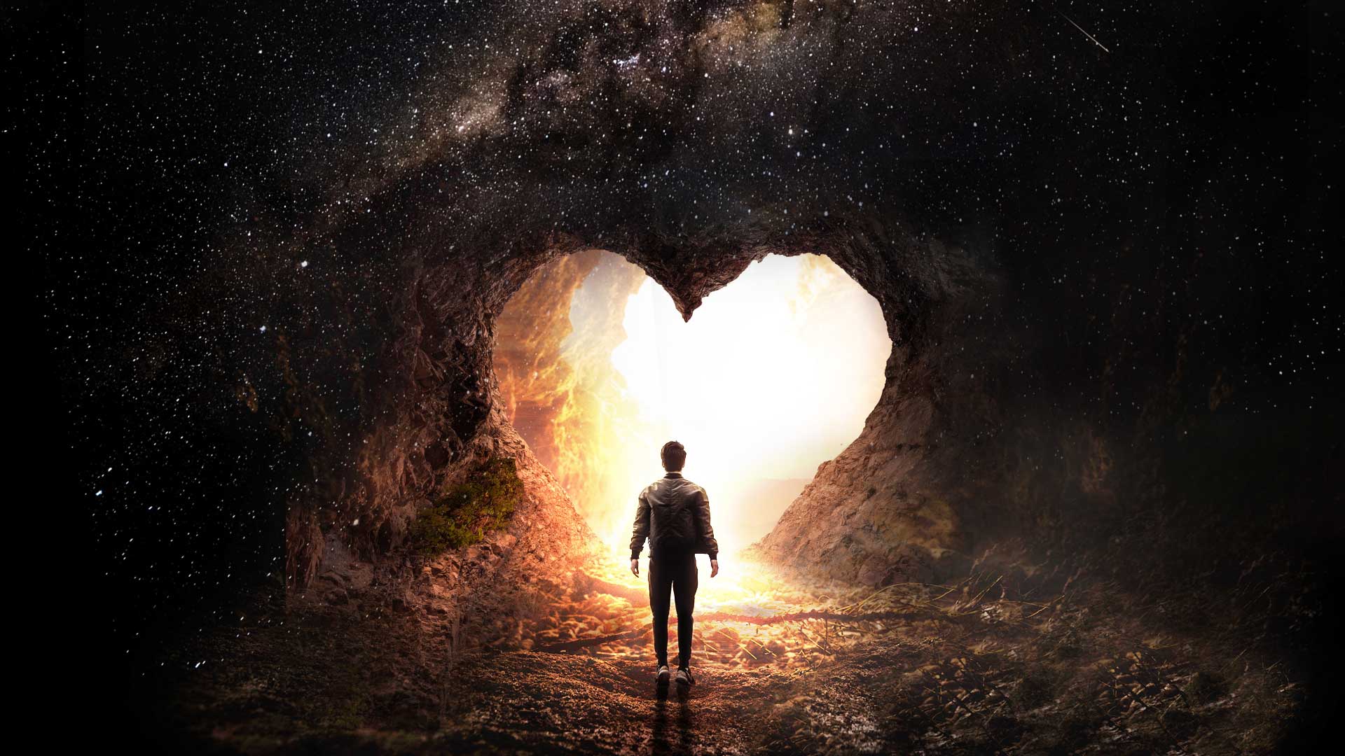 Follow Your Heart Your Brain Is Stupid (The Song) Official Lyric Video