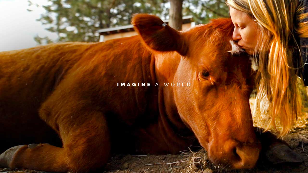 Imagine A World Where Money Comes Before Compassion…