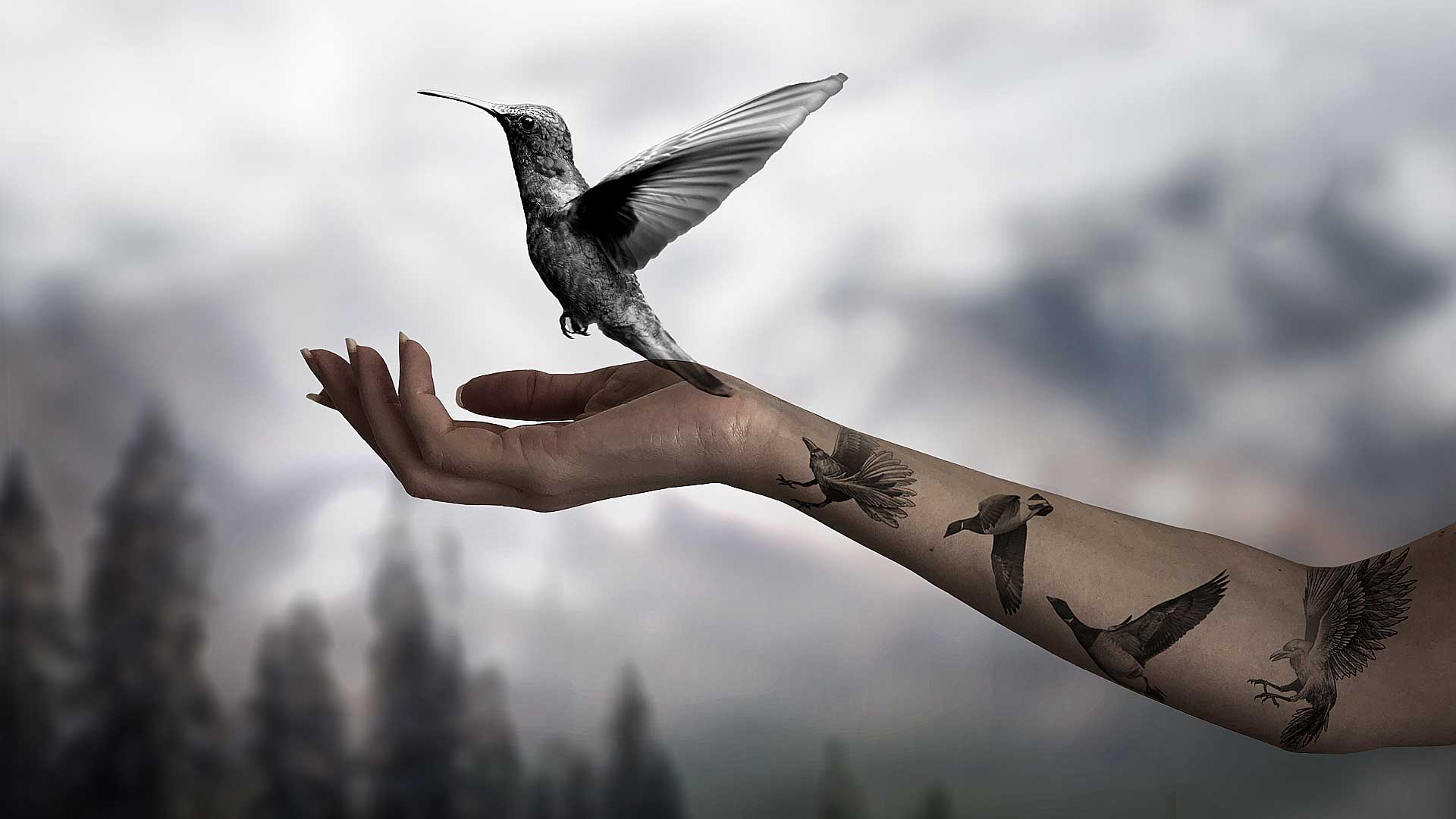 Free My Soul (Official Lyric Video) Fearless Soul